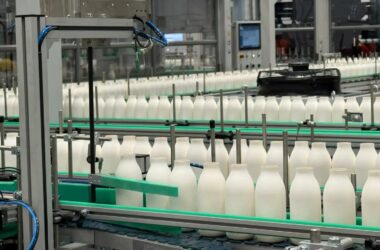 Arriva sul mercato italiano un’innovativa bottiglia in fibra di carta