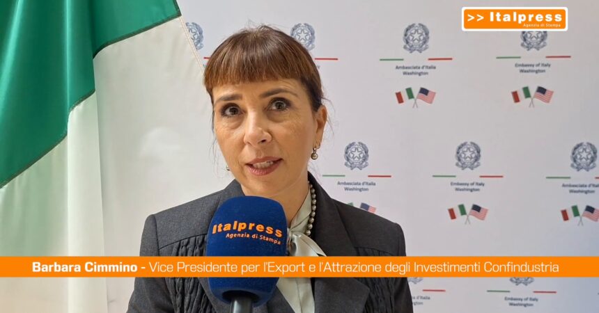 Usa, Cimmino (Confindustria) “Innovazione e asse transatlantico per le imprese”