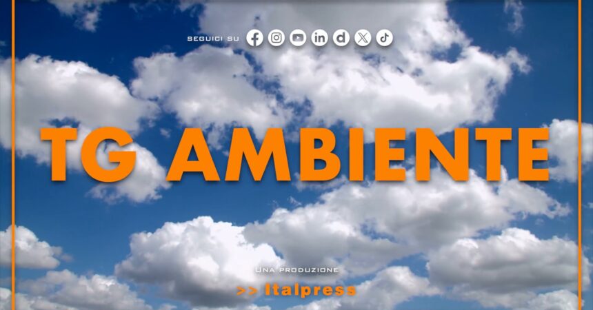 Tg Ambiente – 18/10/2026